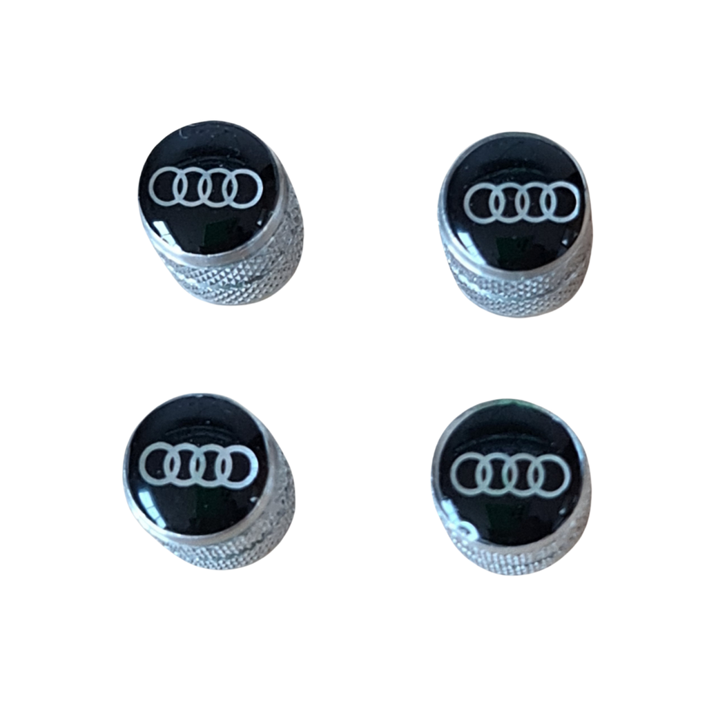 Earplugs Audi