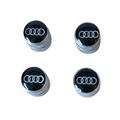 Earplugs Audi