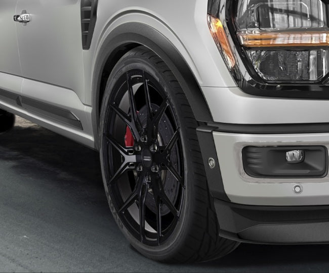 Salpicaderas para Ford F-150/Lobo 2024-2025+